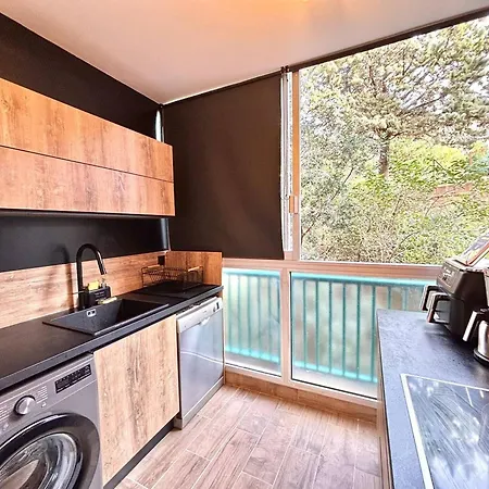 Apartment Avec Terrasse Vue Mer, Clim Et Parking A - 2 Pour 4 Pers. - Fr-1-61-648